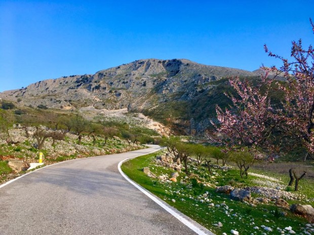 A road to dream about.